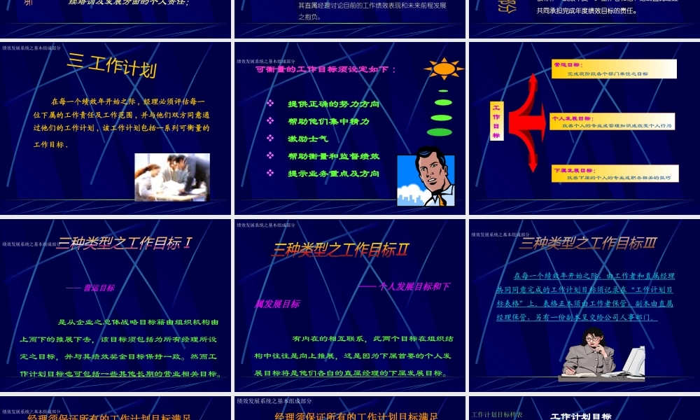 某公司绩效发展系统简介