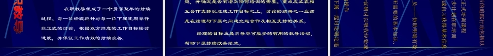 某公司绩效发展系统简介