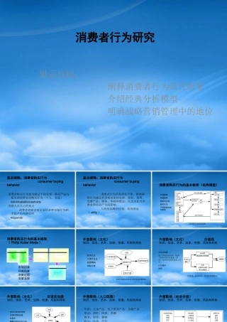 服装行业消费者购买行为分析
