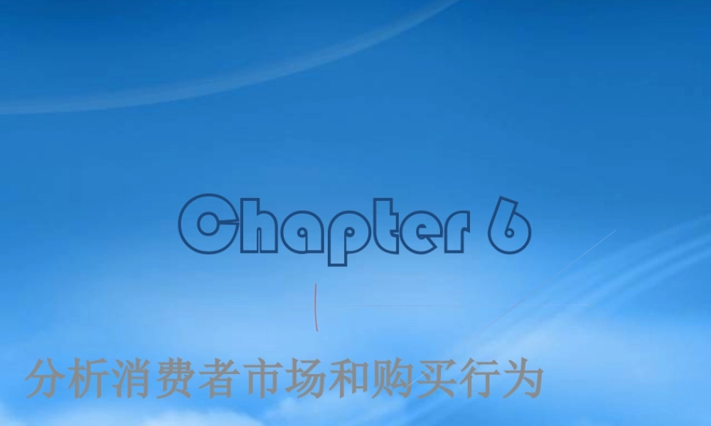 服装行业消费者市场和与买行为分析