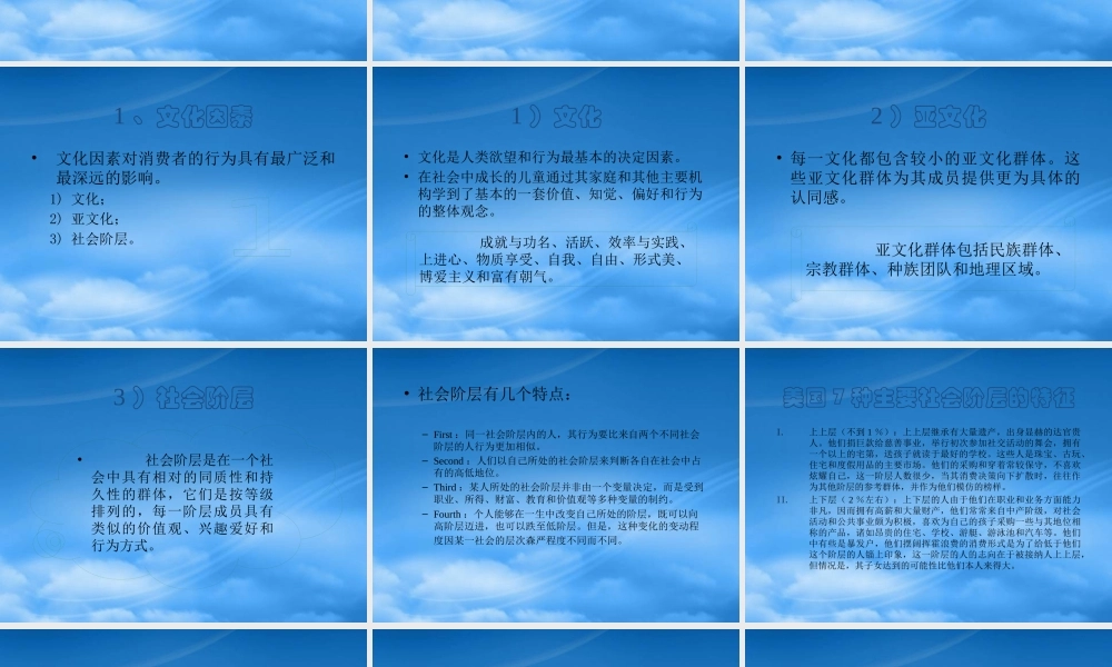 服装行业消费者市场和与买行为分析