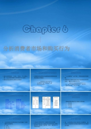 服装行业消费者市场和与买行为分析