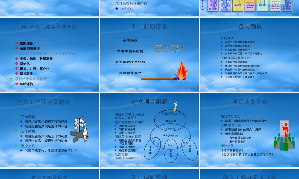 天思软件项目实施管理方法