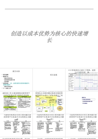 如何创造以成本优势为核心的快速增长(ppt 62页)2