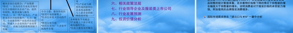 服装行业研究报告(ppt 118页)0
