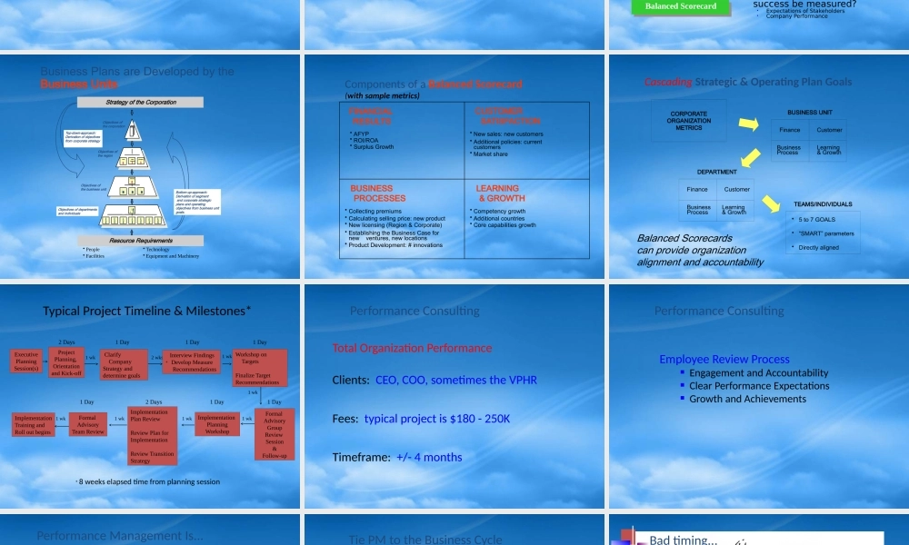 某公司绩效管理考评方法-英文版