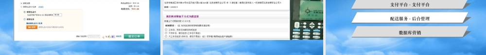 天天订项目数据库营销