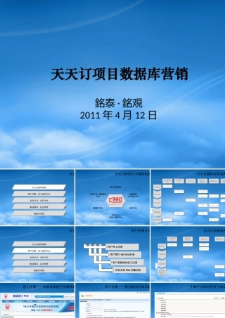 天天订项目数据库营销