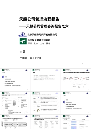 天图－天麟管理流程报告