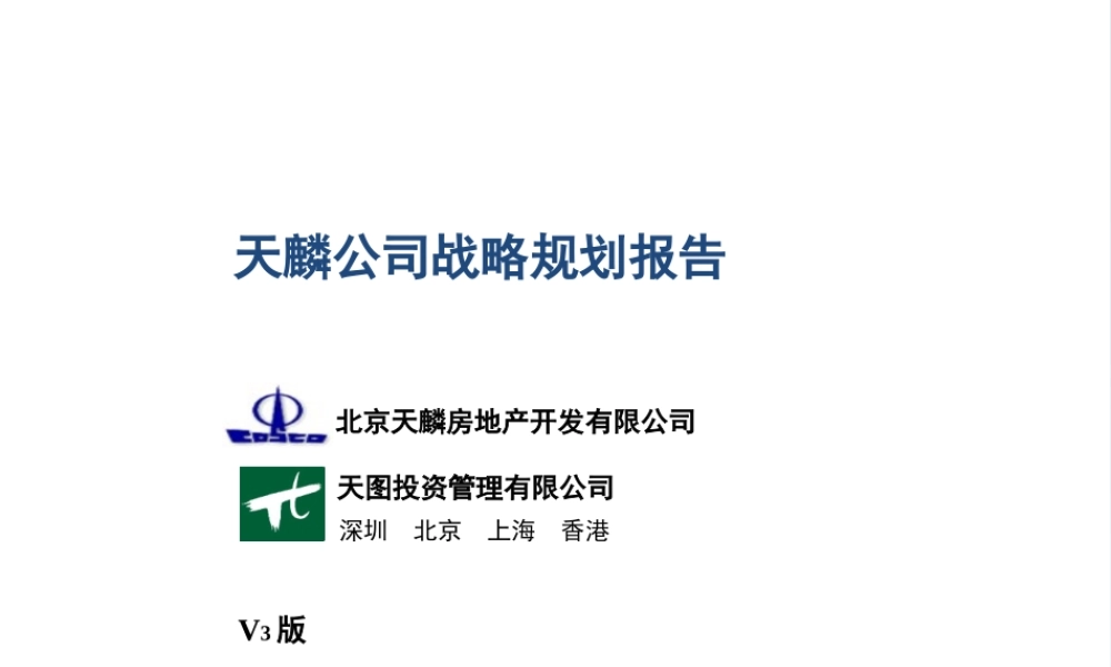 天图－天麟战略规划报告