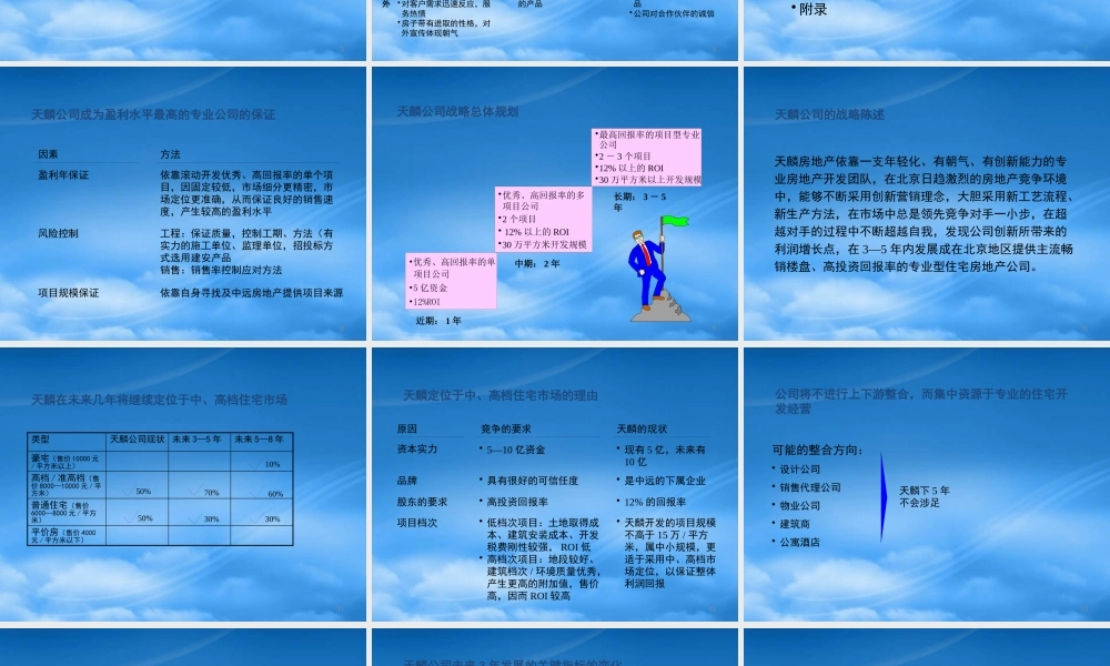 天图－天麟战略规划报告