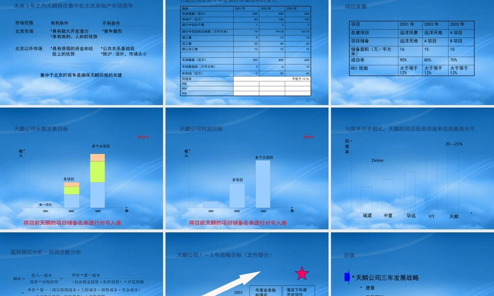 天图－天麟战略规划报告