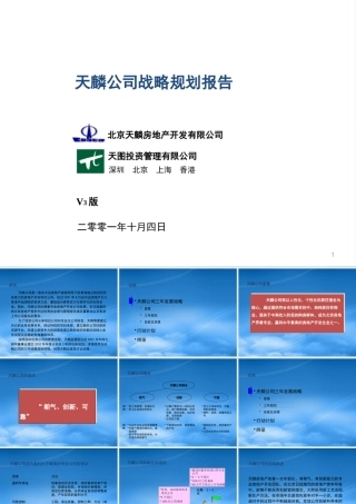 天图－天麟战略规划报告