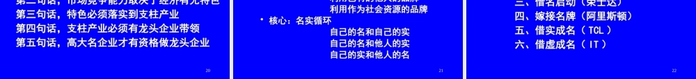 服装名牌战略与品牌管理专训