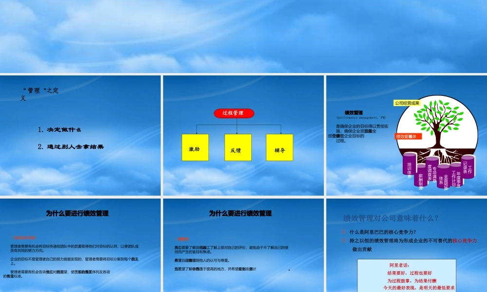 某公司绩效管理情况概述
