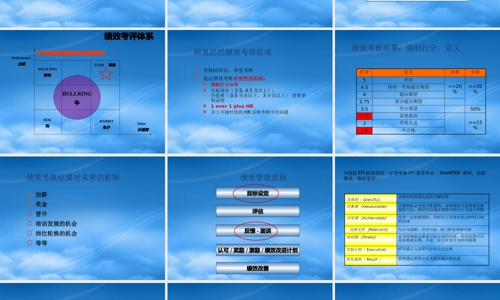 某公司绩效管理情况概述