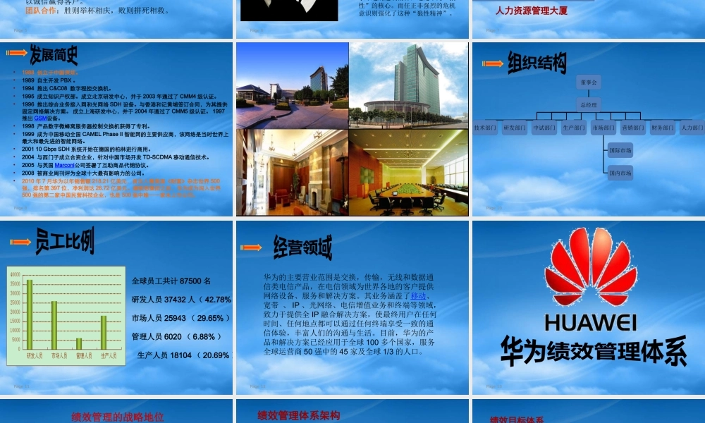 某公司绩效管理实例