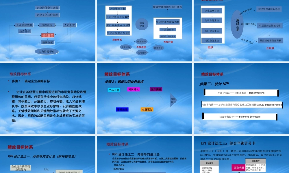 某公司绩效管理实例