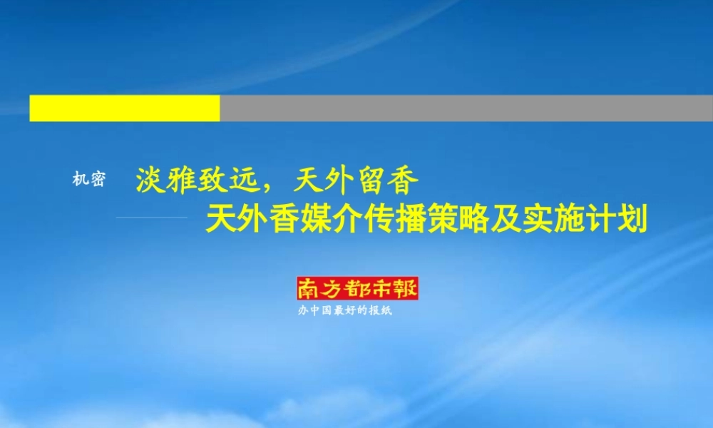 天外香媒介传播策略及实施计划