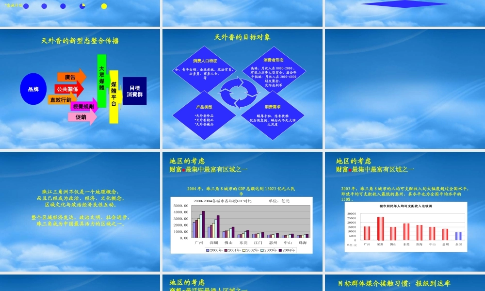 天外香媒介传播策略及实施计划
