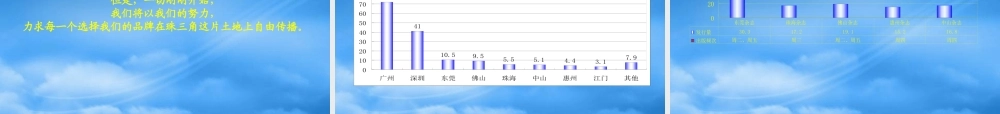 天外香媒介传播策略及实施计划