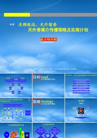 天外香媒介传播策略及实施计划