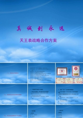 天王表战略合作方案--norman1980