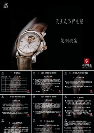 天王手表品牌推广策略提案