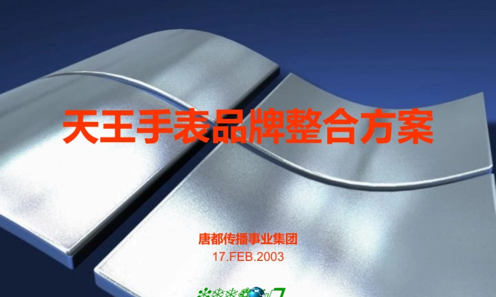 天王手表品牌整合方案