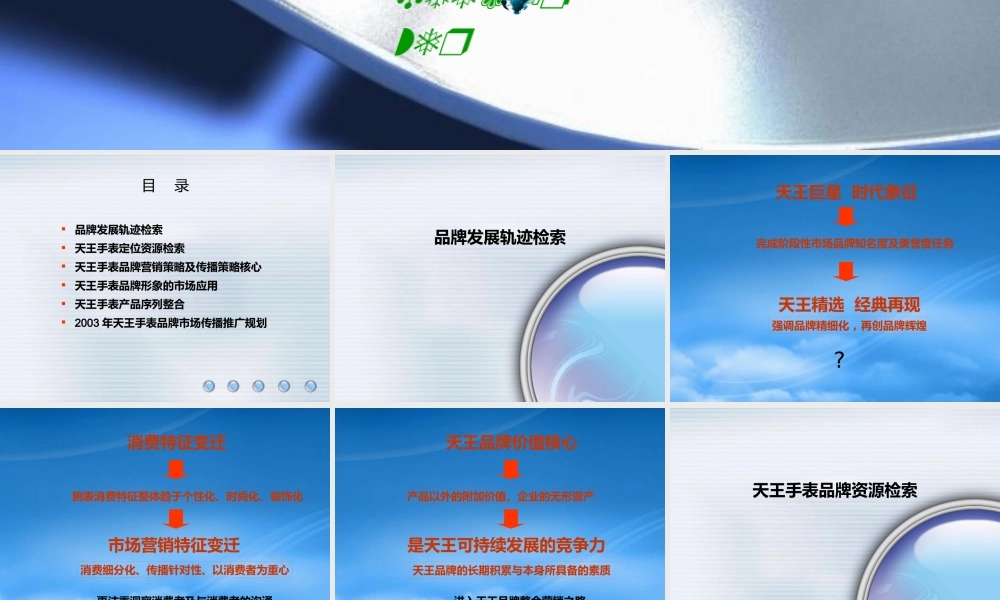 天王手表品牌整合方案