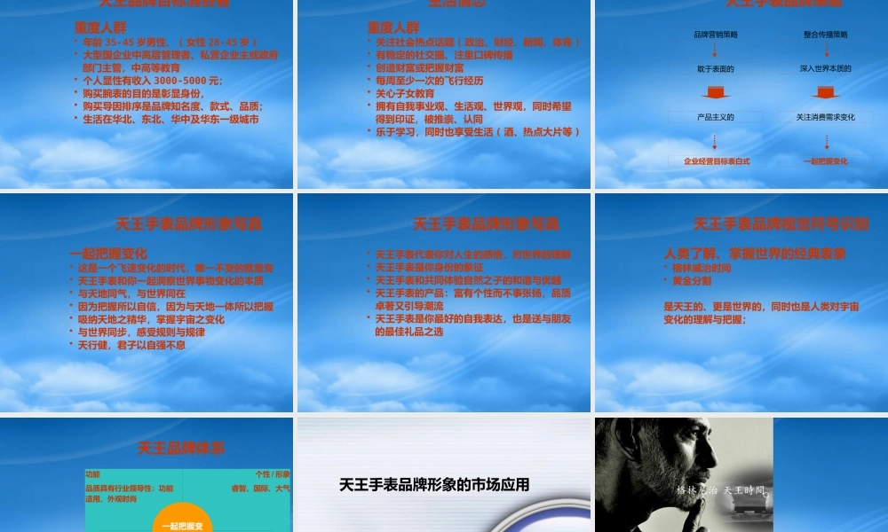 天王手表品牌整合方案