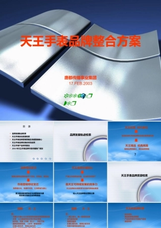 天王手表品牌整合方案