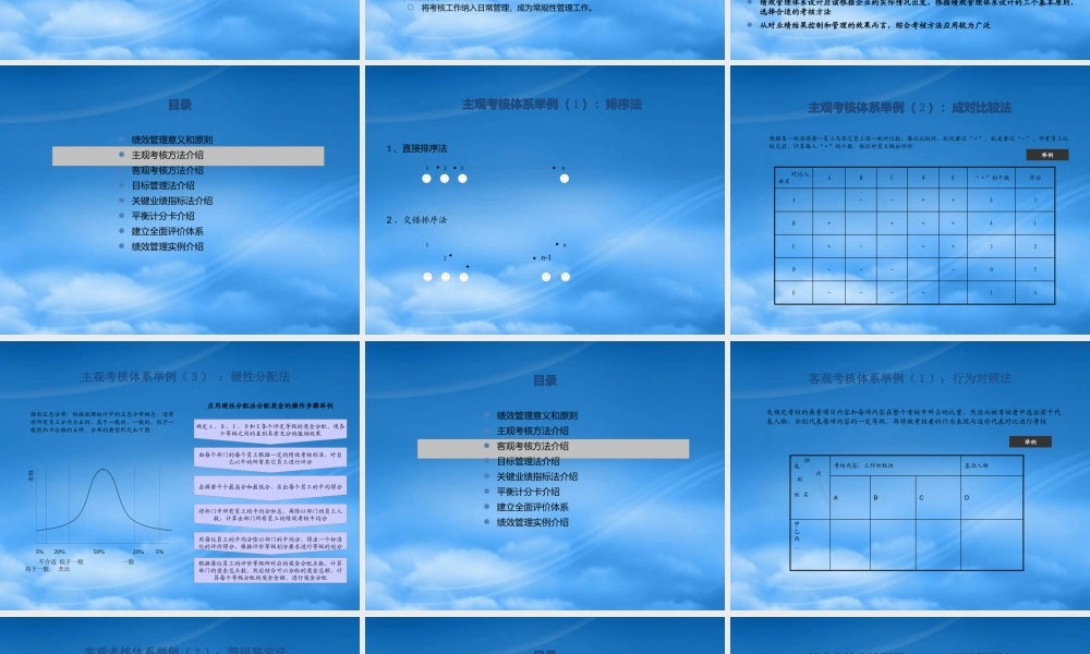 某公司绩效管理体系操作手册