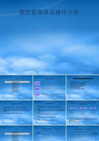 某公司绩效管理体系操作手册