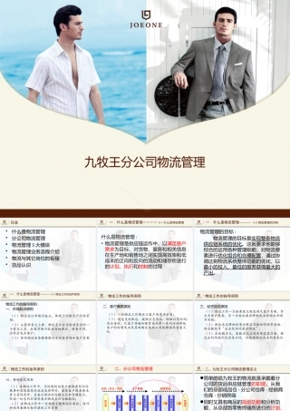 服装品牌-九牧王分公司物流管理模式（PPT66页）