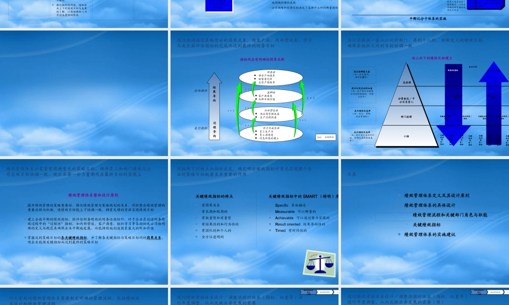 某公司绩效管理体系的原则与实施
