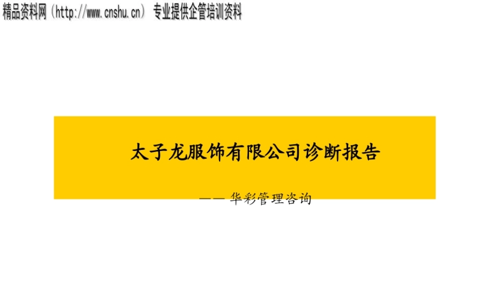 服装品牌-太子龙服饰有限公司诊断报告（PPT179页）
