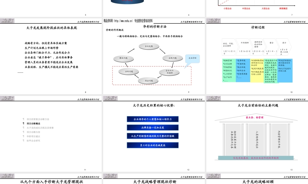 服装品牌-太子龙服饰有限公司诊断报告（PPT179页）