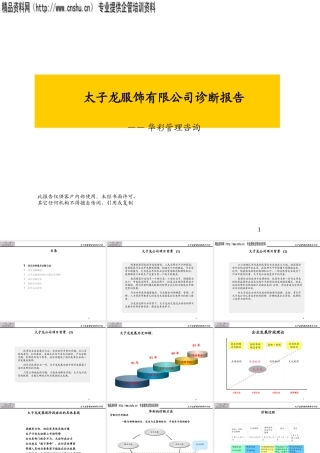 服装品牌-太子龙服饰有限公司诊断报告（PPT179页）
