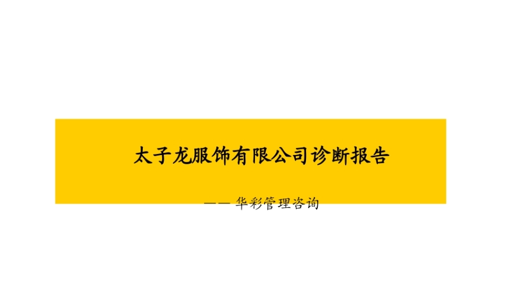 服装品牌-太子龙服饰有限公司诊断报告