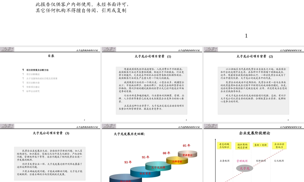 服装品牌-太子龙服饰有限公司诊断报告