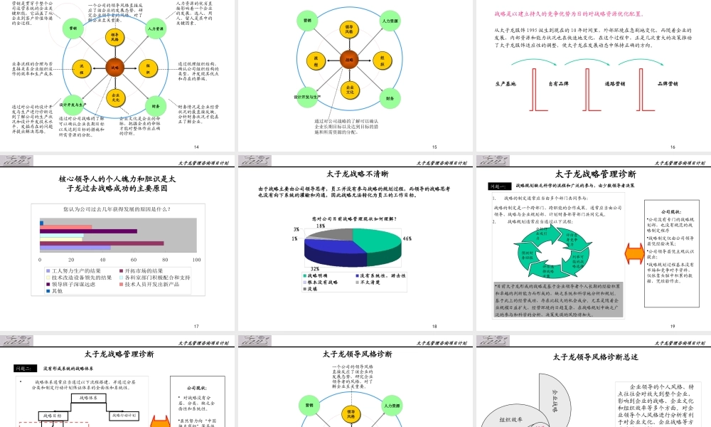 服装品牌-太子龙服饰有限公司诊断报告