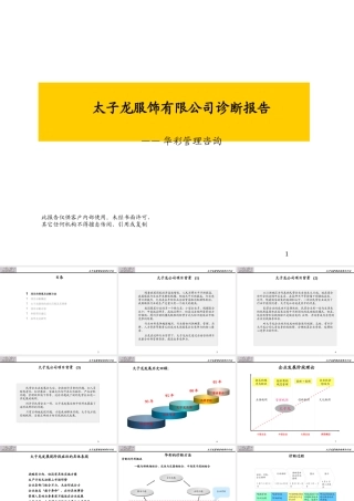 服装品牌-太子龙服饰有限公司诊断报告