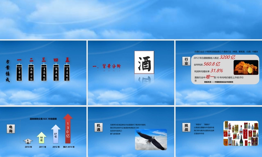 天下粮仓企划案