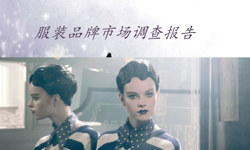 服装品牌调查报告(1)