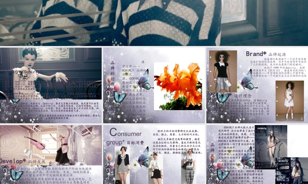 服装品牌调查报告(1)