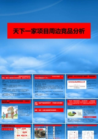 天下一家项目竞品分析XXXX64
