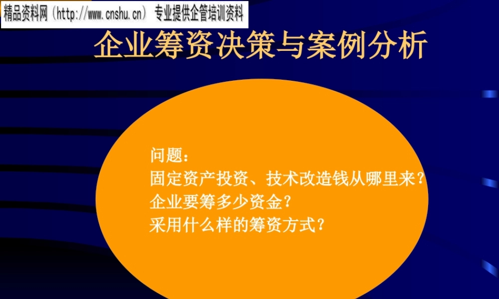 服装企业筹资决策和案例分析