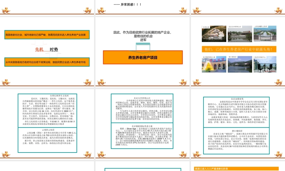 天颐国际养生房产项目定位策划