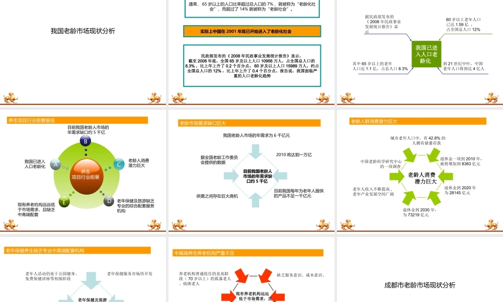 天颐国际养生房产项目定位策划